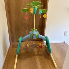 プーメリーの画像