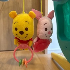 プーメリーの画像