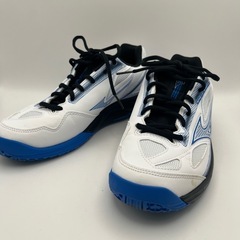 MIZUNO ブレイクショットの画像