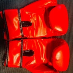 ボクシンググローブの画像