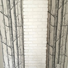 軽量レンガブリックタイル + ふかし壁の画像