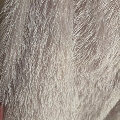 スカート𓂃꙳⋆の画像