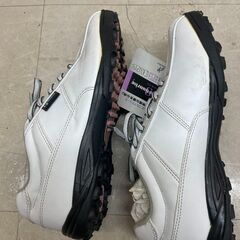 California Sunrise SPORTS Sports レディース スパイクレス ゴルフシューズ CCSH-3850L 軽量 290g 25cm (P2124narYM)の画像