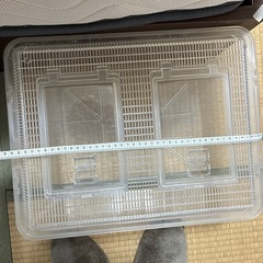 飼育カゴの画像