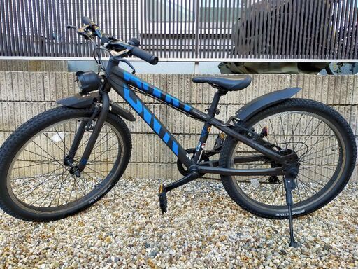 【直接取引希望】 ブリジストン製BWX　24インチ自転車　キッズバイク 直接取引希望】 ブリジストン製BWX 24インチ自転車 キッズバイク 直接