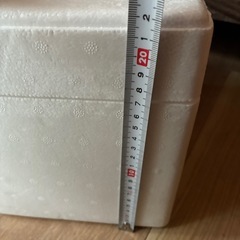 発泡スチロール箱保冷剤付きの画像