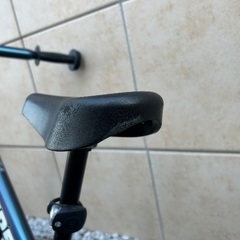 ストライダープロの画像