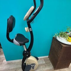 【お売りします】ALINCO アルインコ コンフォートバイク AFB4419C 健康器具 の画像