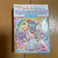 ［新品未開封］ハンギョドン缶バッジの画像