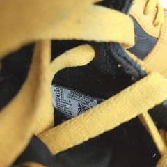 NIKE Air Jordan 1 Retro High OG “Pollen 29cm 【24日(今日)まで】の画像