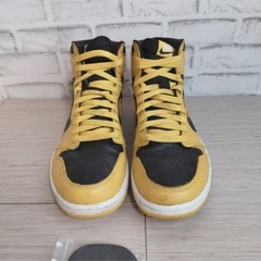 NIKE Air Jordan 1 Retro High OG “Pollen 29cm 【24日(今日)まで】の画像
