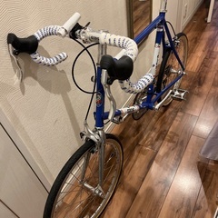 ミニベロ　GIOS Anticoの画像