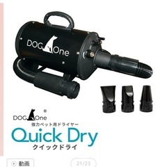 Dogone クイックドライ　ペットドライヤー　の画像