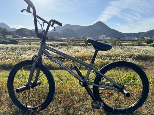 BMX MOTELWORKS AUX 20インチ (Txmxkx.Sx) 三島のBMXの中古あげます
