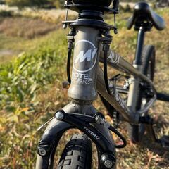 BMX MOTELWORKS AUX 20インチの画像
