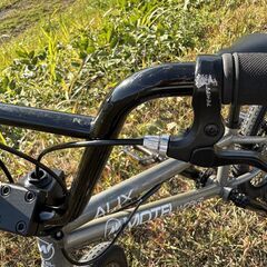 BMX MOTELWORKS AUX 20インチの画像