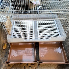 ミニマルランド  
ウサギゲージ 小動物ゲージ  ゲージ　の画像