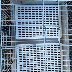 ミニマルランド  
ウサギゲージ 小動物ゲージ  ゲージ　の画像