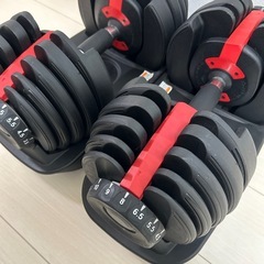 可変式ダンベルの画像