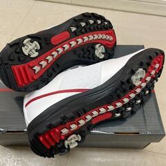 キャスコ Kasco ゴルフシューズ KMSL-2365 25.0cm ホワイト 合成皮革 スパイクレス 3E② (P2129hrsYM)の画像