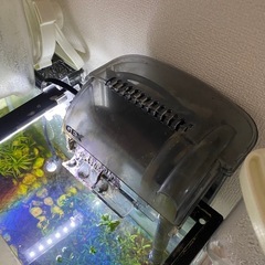 GEX水槽の画像