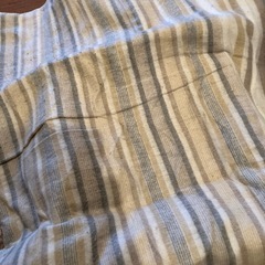 電気敷毛布の画像