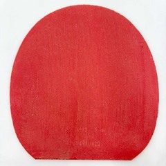 バタフライ ディグニクス05 赤 2.1 卓球ラバー レッド Butterfly ハイテンション裏ラバの画像