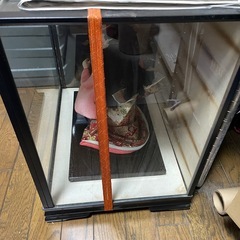 寿々舞　日本人形の画像