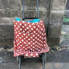 買い物の時のカート？