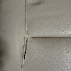 食卓の椅子の画像