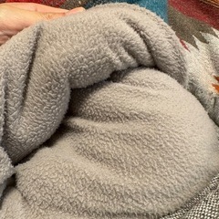 こたつ掛け布団の画像