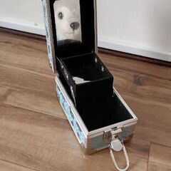 アクセサリーケースの画像