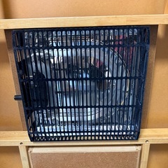 こたつ（岸和田市でのお取引きです）の画像