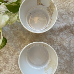 ◉おまけ付◉IKEA陶器植木鉢2個セットの画像