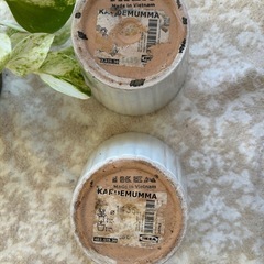 ◉おまけ付◉IKEA陶器植木鉢2個セットの画像