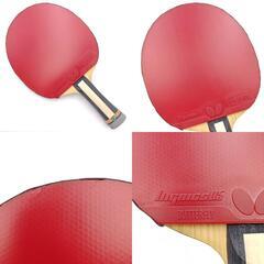 バタフライ レボルディア CNF FL 卓球ラケット ラバー(ディグニクス05)、ケース付 Butterfly REVOLDIAの画像