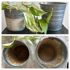 ◉おまけ付◉IKEA陶器植木鉢2個セットの画像