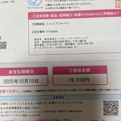 ショップジャパン ナイスデイ 健康ステッパ － ハンドル付きの画像