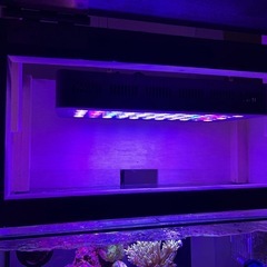 600オーバーフロー水槽セットの画像