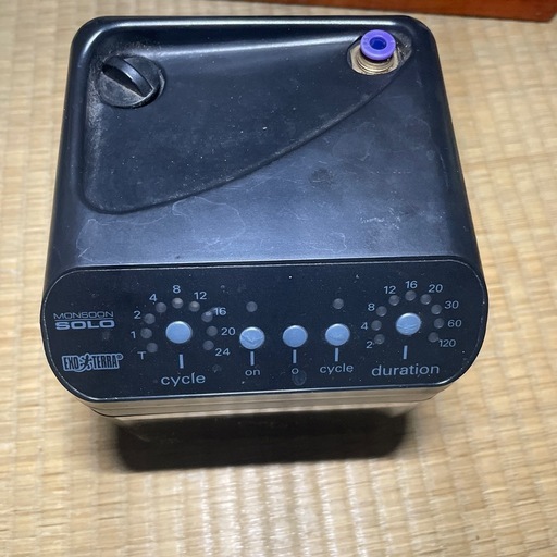 モンスーンソロ