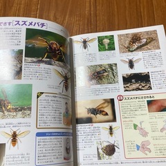 危険生物図鑑の画像