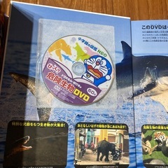 危険生物図鑑の画像