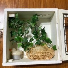 インテリア　小物　　の画像