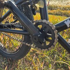 BMX MOTELWORKS NOR 18インチの画像