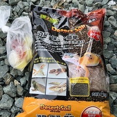 水槽、赤外線ライト等の画像