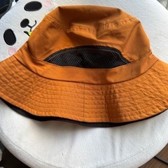 バケハ各種の画像