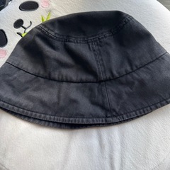 バケハ各種の画像