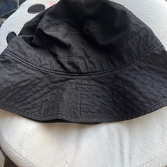 バケハ各種の画像