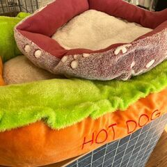 【★引き取り限定】 室内小型犬 小型動物用 ペット ケージ セット 一式の画像