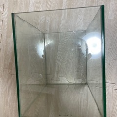 水槽の画像